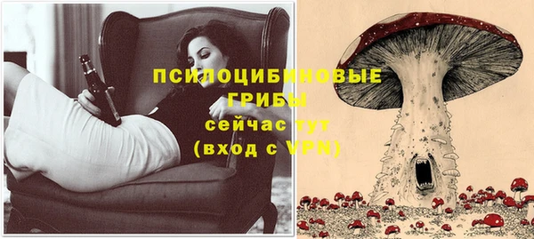 твердый Белоозёрский