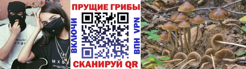 это телеграм  магазин продажи   Красноуфимск  Псилоцибиновые грибы Psilocybe 